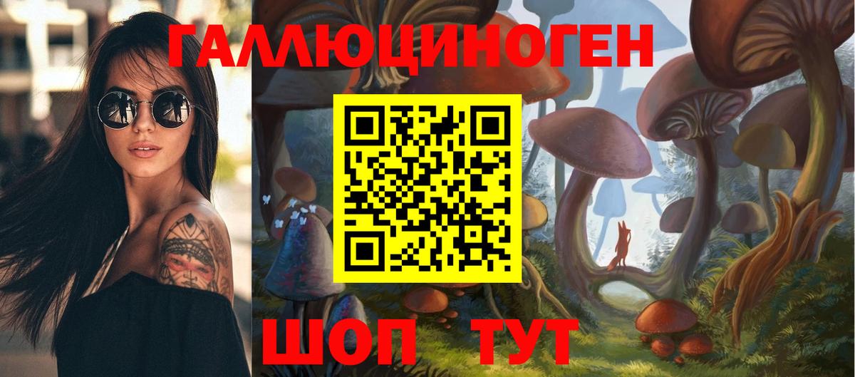 Галлюциногенные грибы Magic Shrooms  Вход с VPN  Псилоцибиновые грибы Psilocybine cubensis  Славянск-на-Кубани 